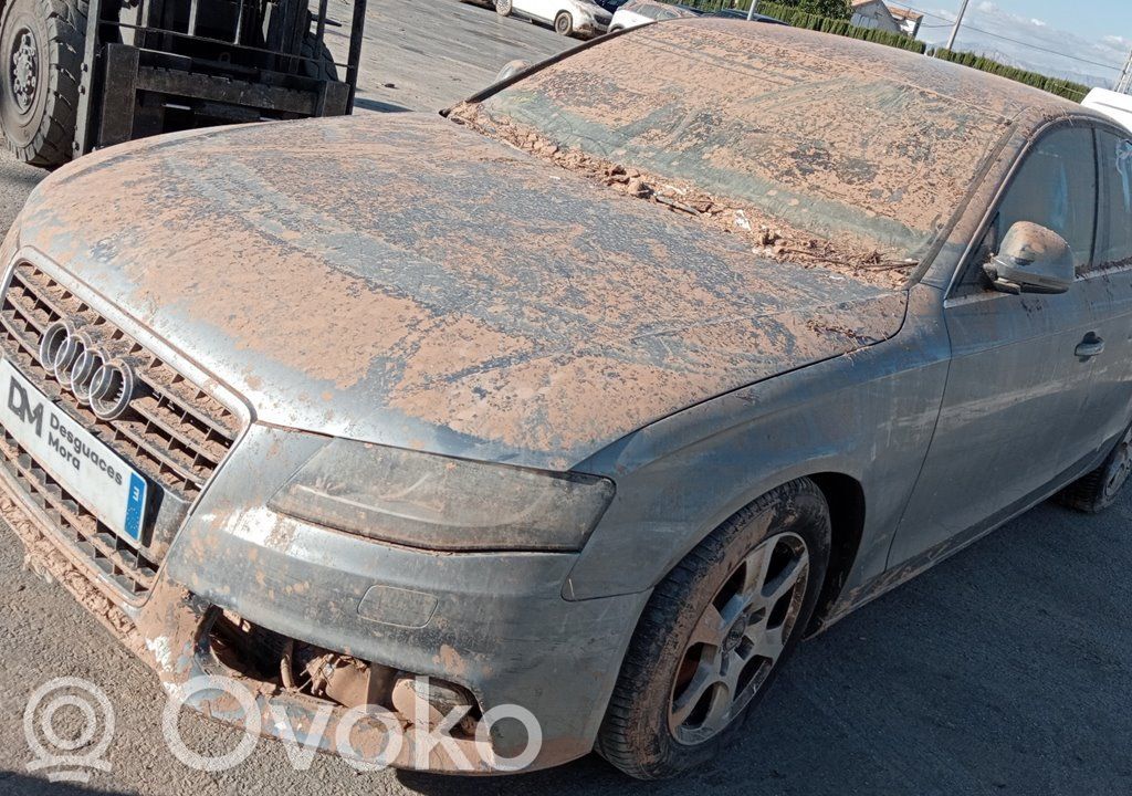 A4 Allroad A4 Allroad  CAG