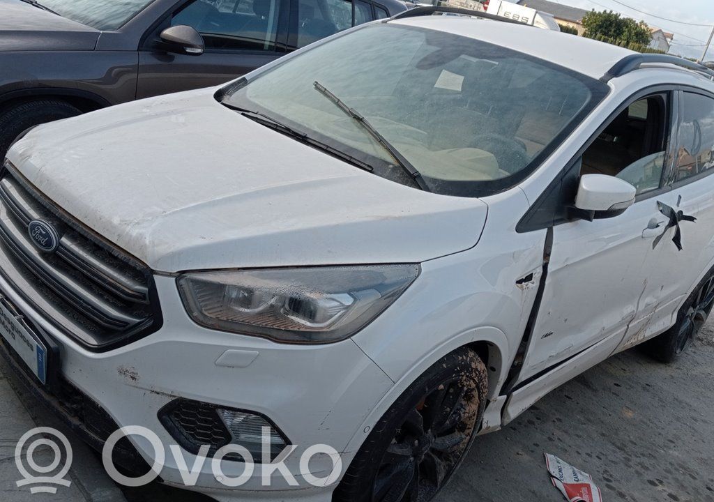 Kuga II Kuga  1862036