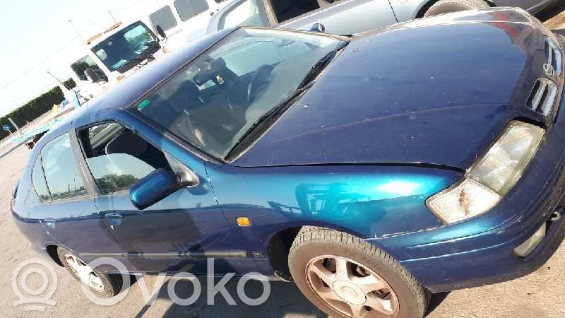 Primera Primera  23080206