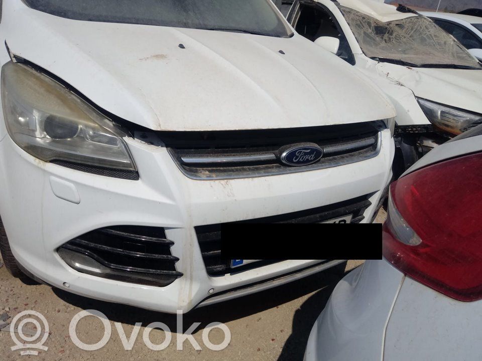 Kuga II Kuga  1788544