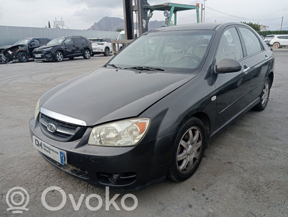 Cerato Cerato  770042F010