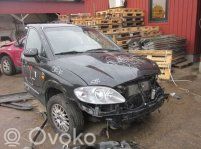 Rodius Rodius/Stavic  7462221001ABU
