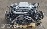 Macan (95B) Macan  DGR