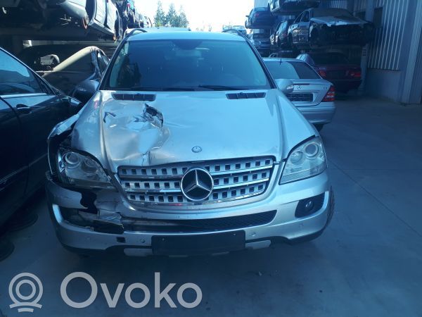 ML W164 ML-class, AMG (W163, W164, W166)