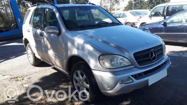 ML W163 ML-class, AMG (W163, W164, W166)