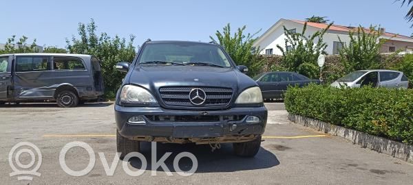 ML W163 ML-class, AMG (W163, W164, W166)