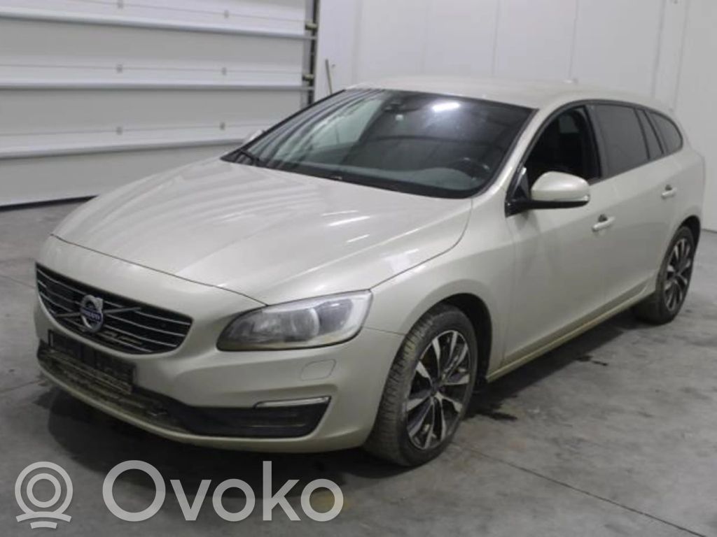 V60 V60, V60 Cross Country  P31423348