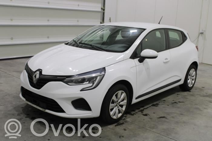 Clio V Clio  172021576R