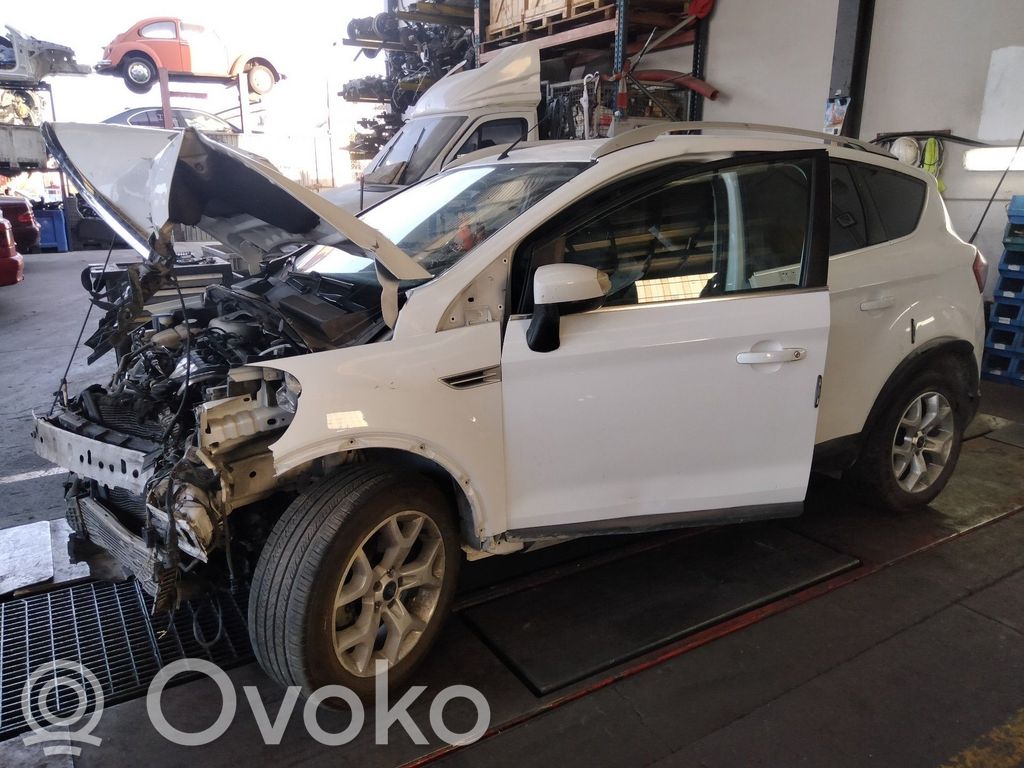 Kuga I Kuga  7M5T13A024CA