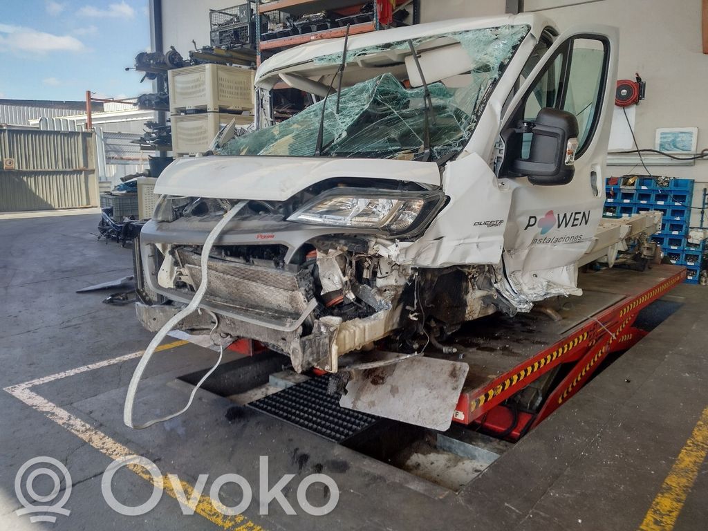 Ducato Ducato