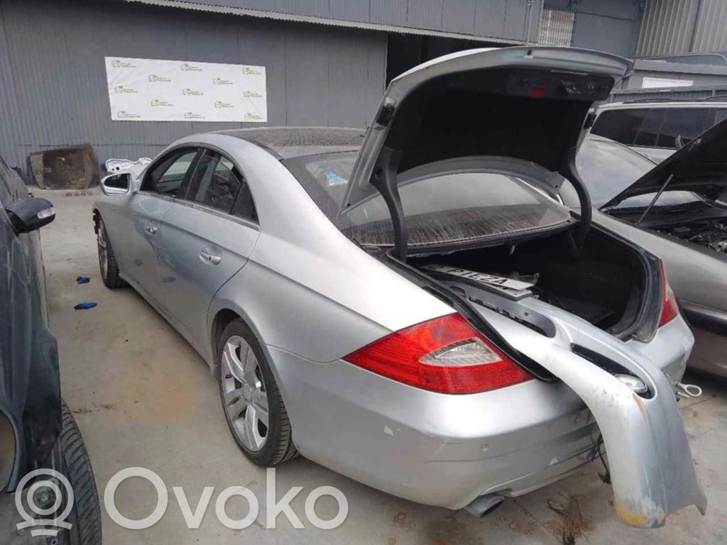 CLS C219 CLS-class, AMG (W219,C218/X218)  0258017080