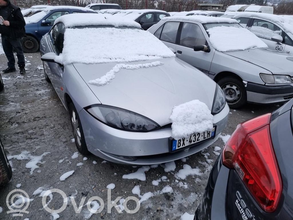 Cougar Cougar  1030665