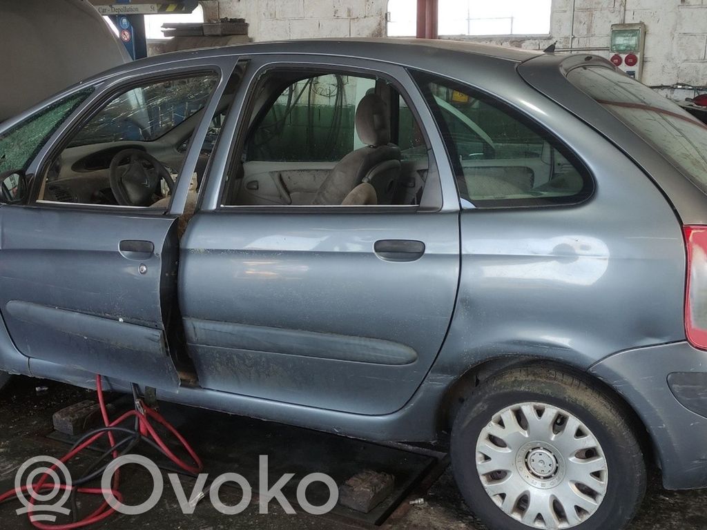 Xsara Xsara, Xsara Picasso