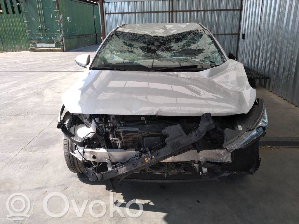 Ioniq Ioniq  3921003140