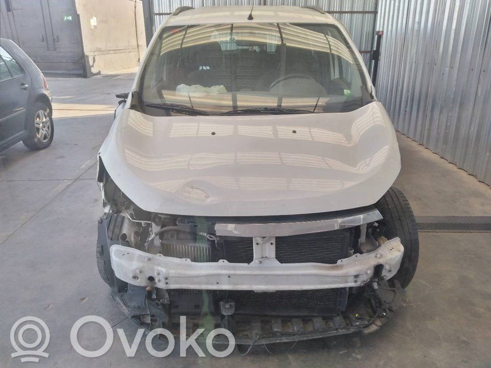 Lodgy Lodgy  490017454RC