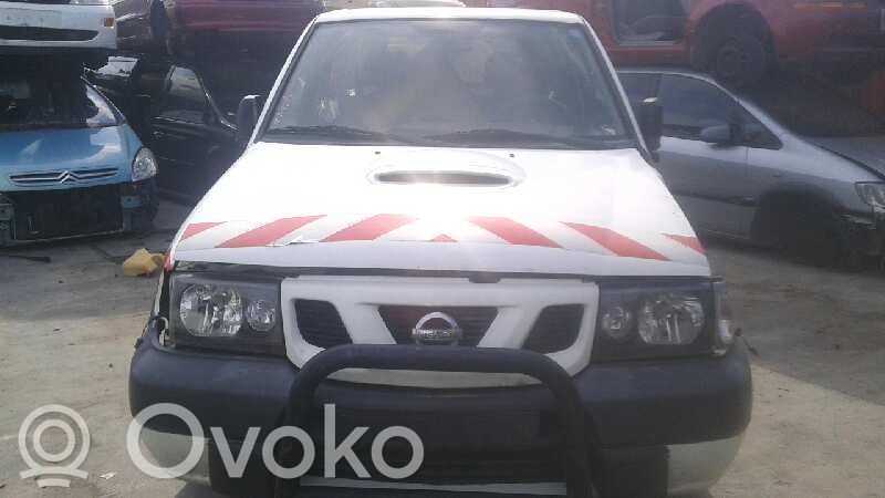 Terrano Terrano