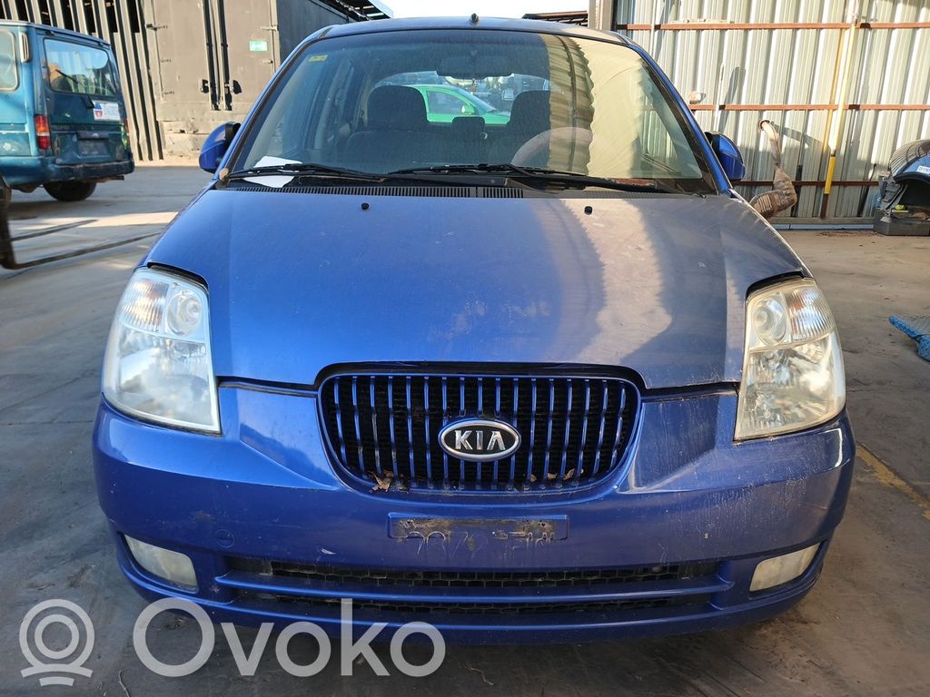 Picanto Picanto  5891007300