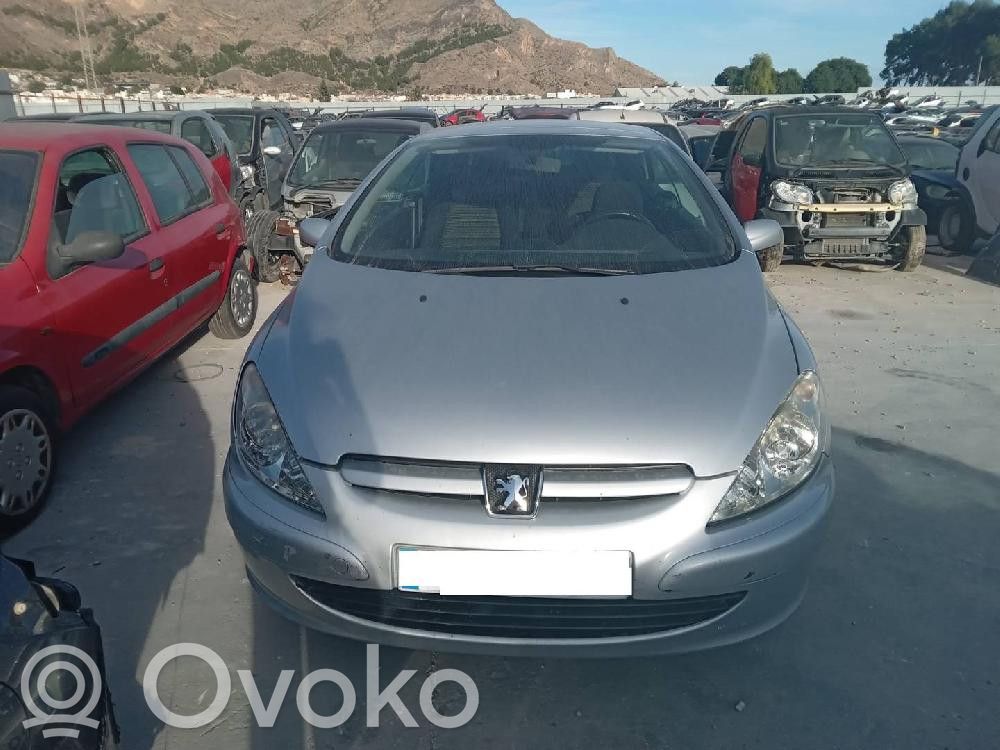 307 CC 307  0265950093