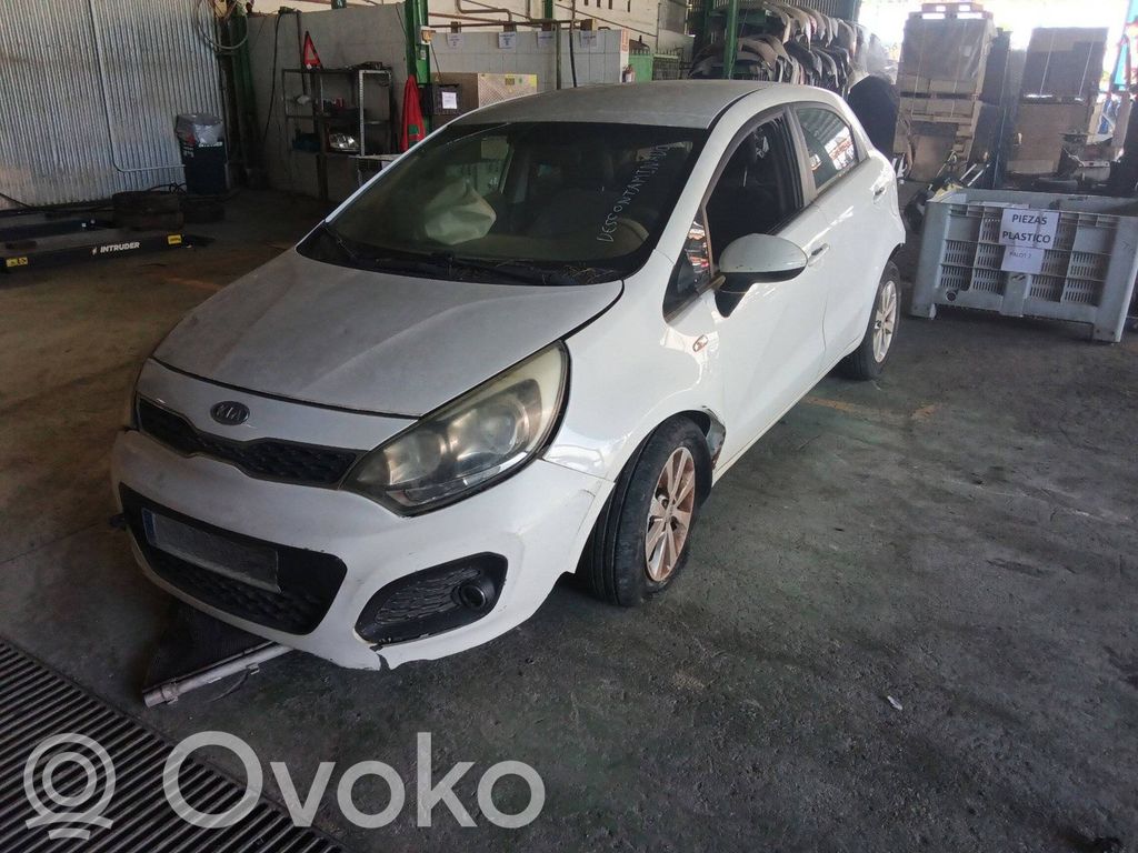 Rio Rio  A047396