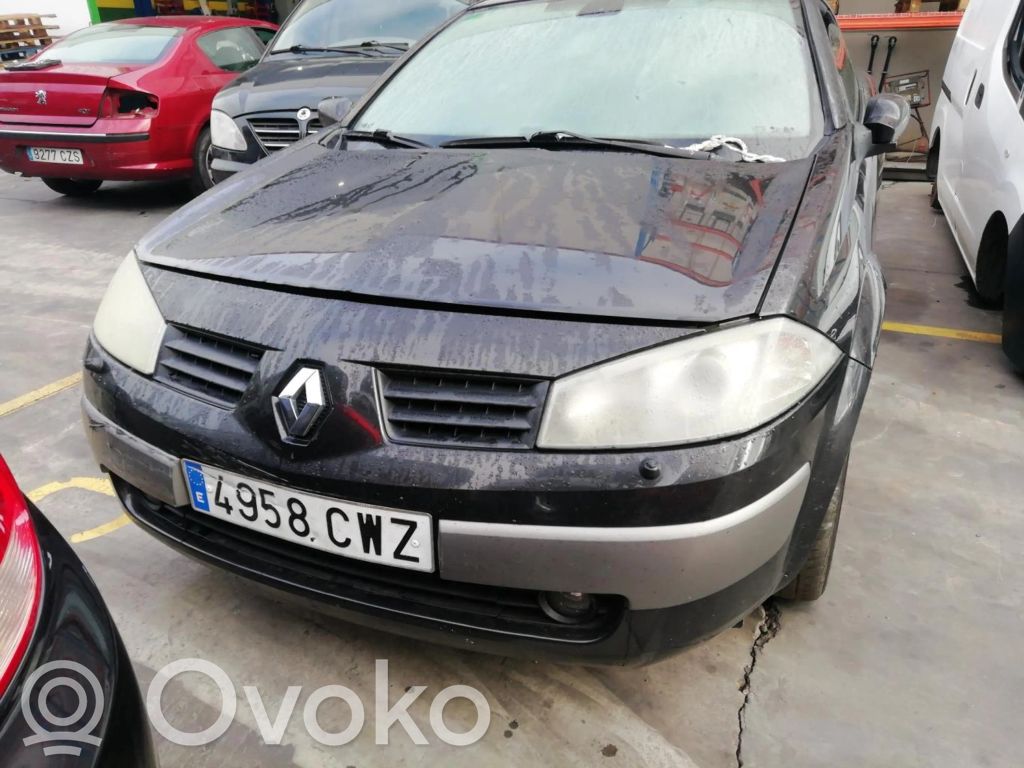Megane II Megane  618300039