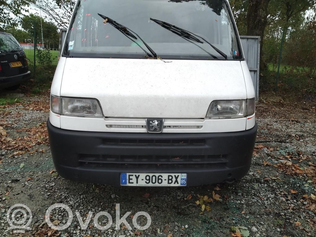 Boxer Boxer  7841E8