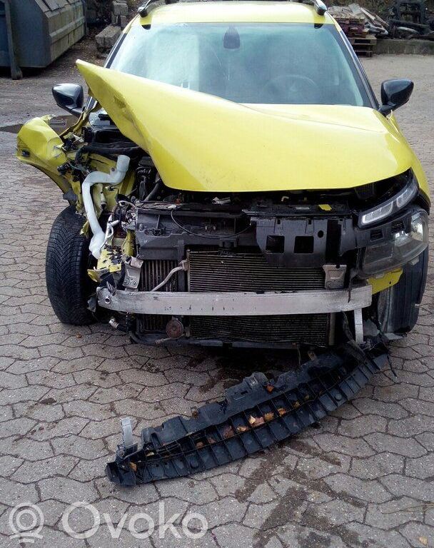 C4 Cactus C4 Picasso, Grand Picasso, Aircross, Cactus  1613245280