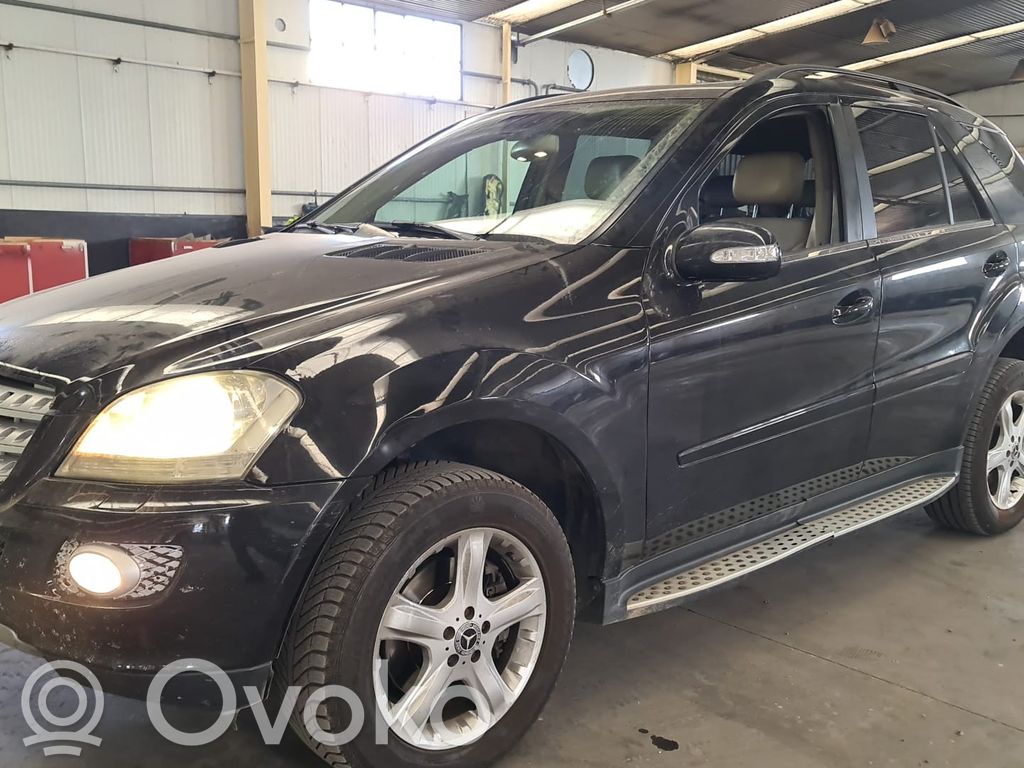 ML W164 ML-class, AMG (W163, W164, W166)  A0071536328