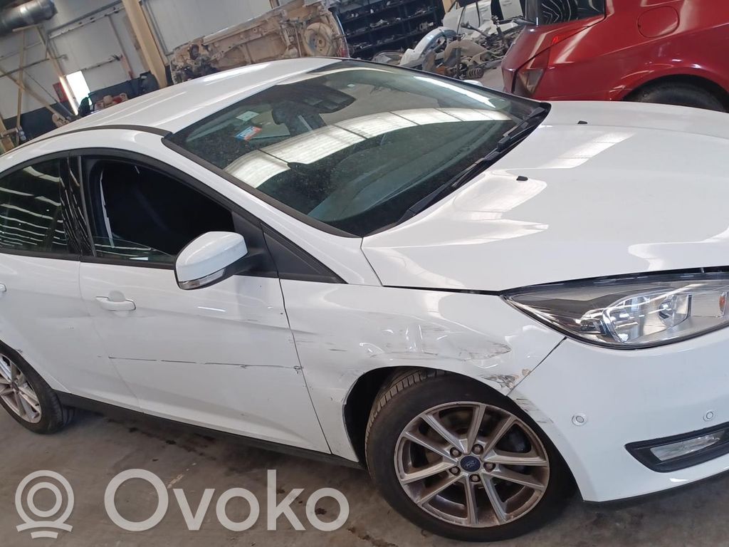 Focus Focus  BV618005BD