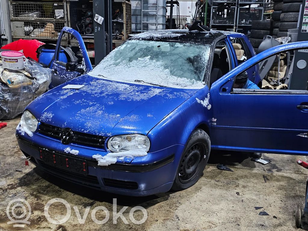 Golf IV Golf  036906034AM