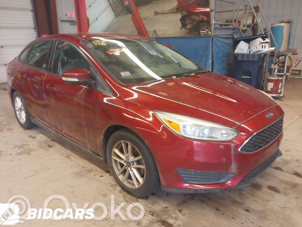 Focus Focus  F1FC2C405AF