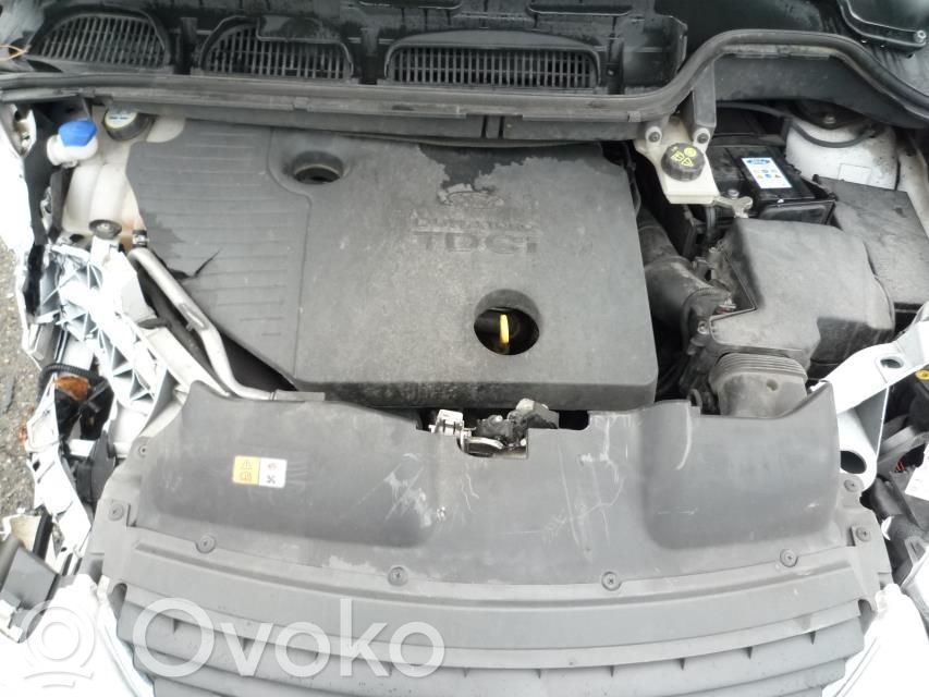 C-MAX I Focus C-MAX, C-MAX, Grand C-MAX  1362587
