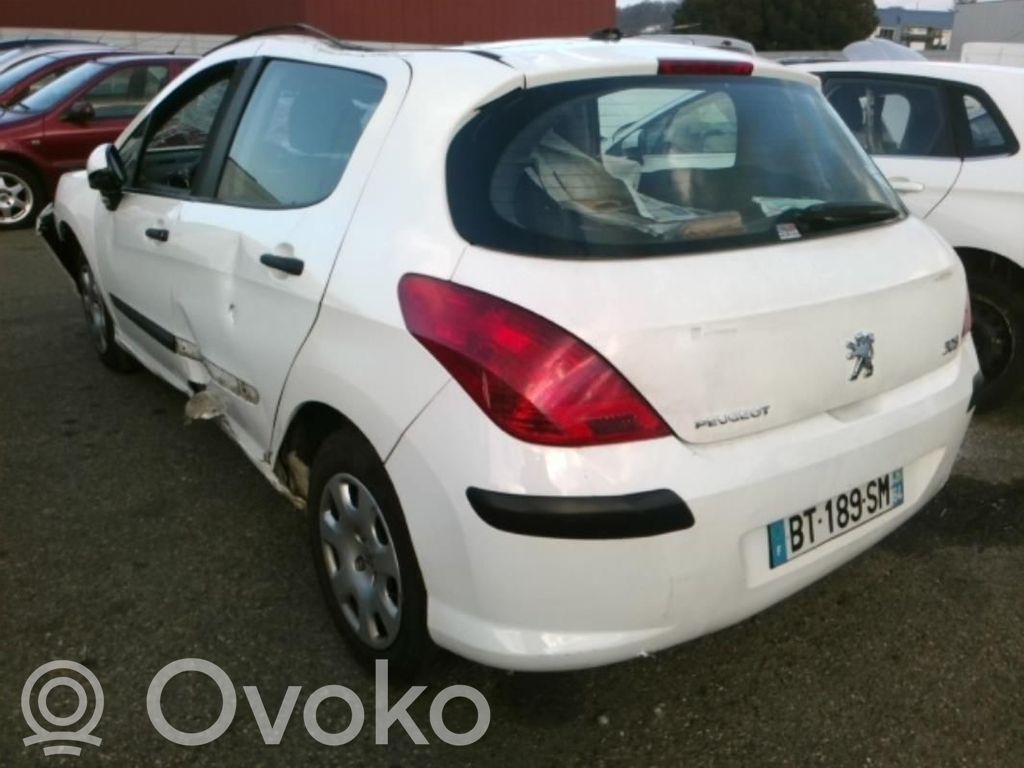 308 308  4541GX