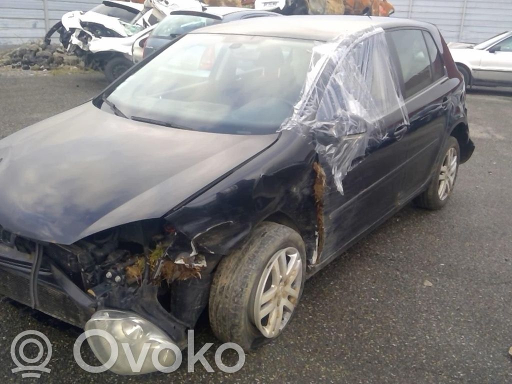 Golf V Golf  1K6945095T