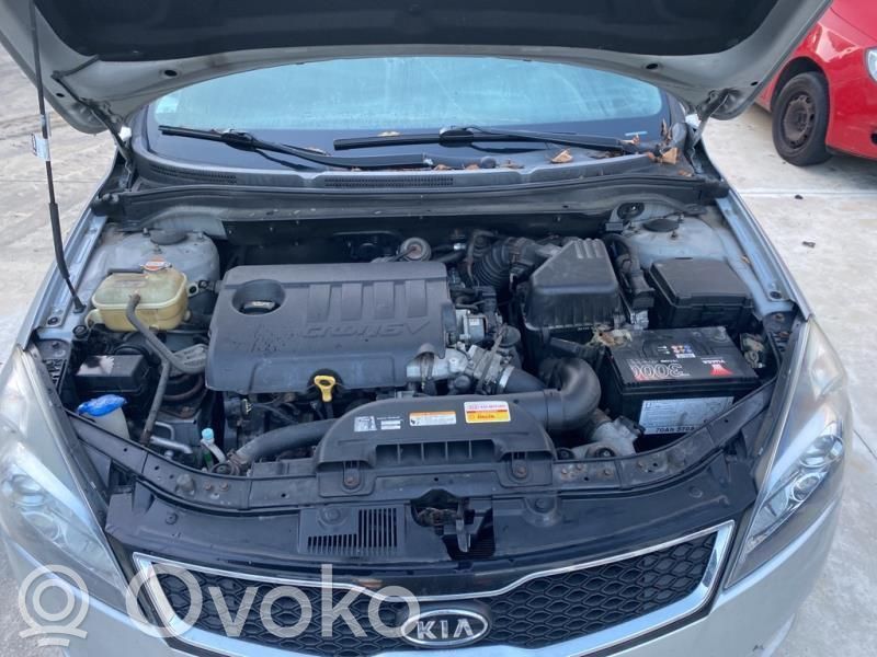 Ceed Ceed, Ceed SW, Pro Ceed  876201H100CA