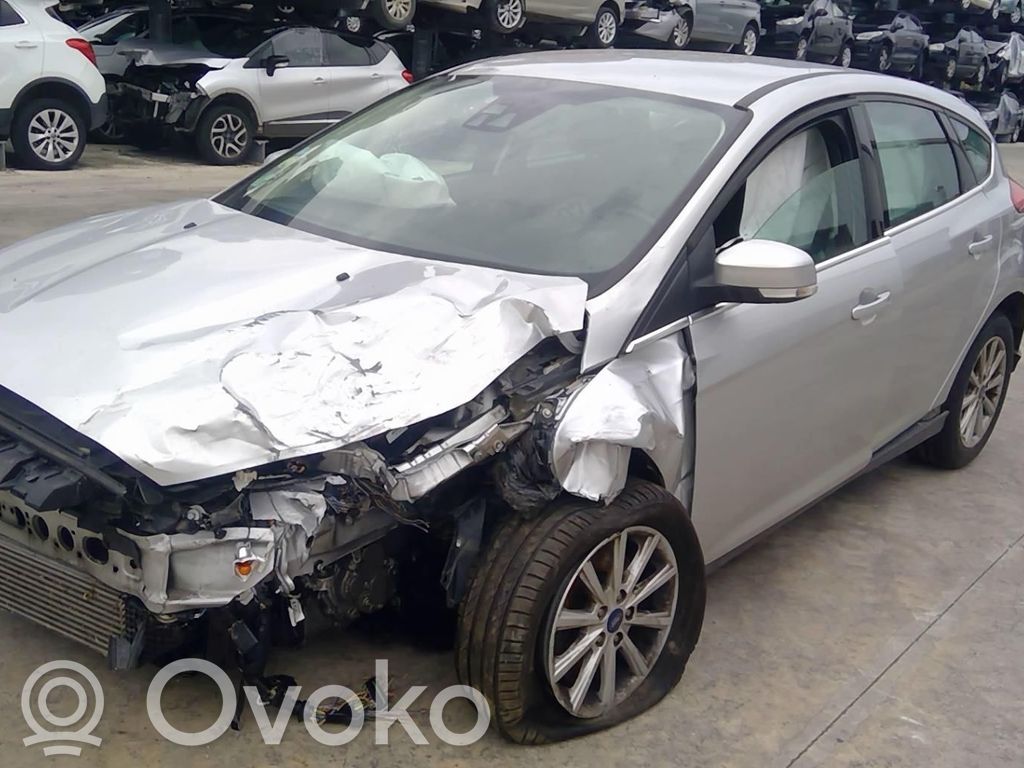 Focus Focus  1870892