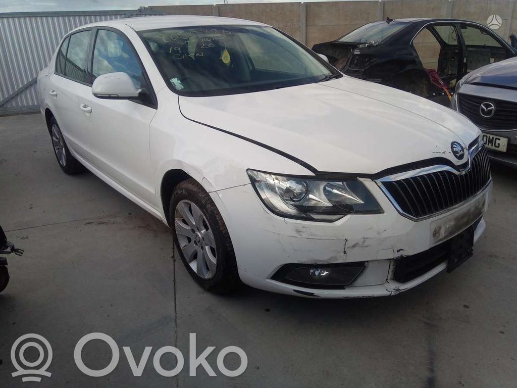 Superb B6 (3T) Superb