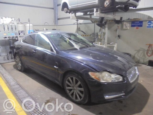 XF X250 XF