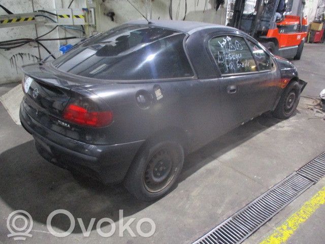 Tigra A Tigra