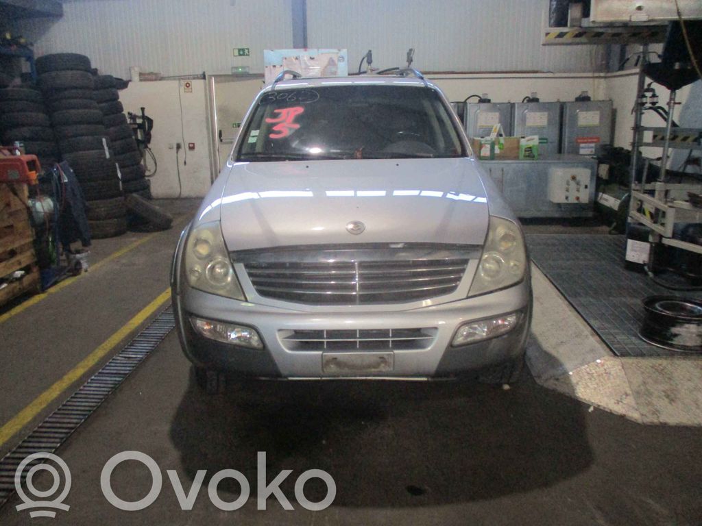 Rexton Rexton