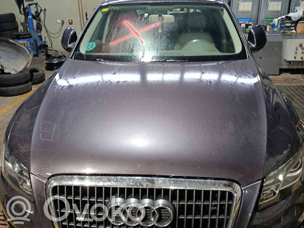 Q5 SQ5 8R Q5, SQ5
