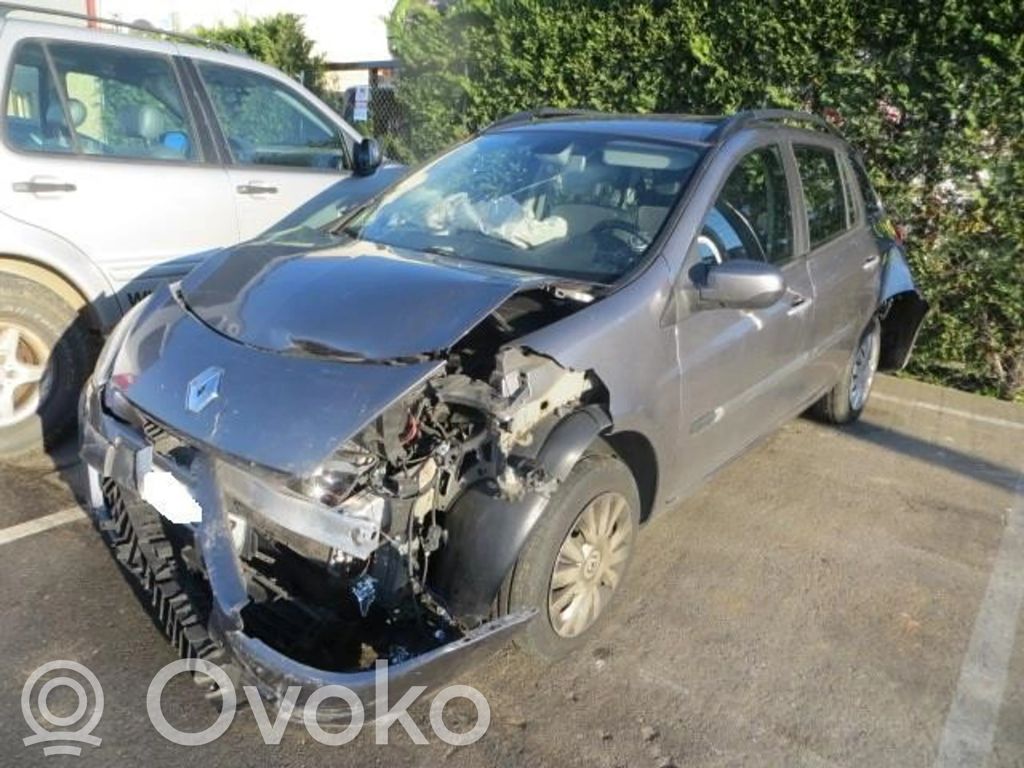 Clio III Clio  8200654541B