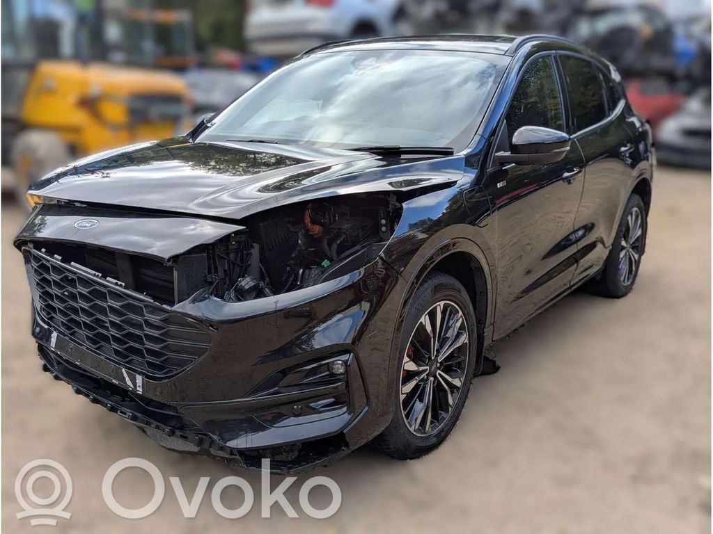 Kuga III Kuga