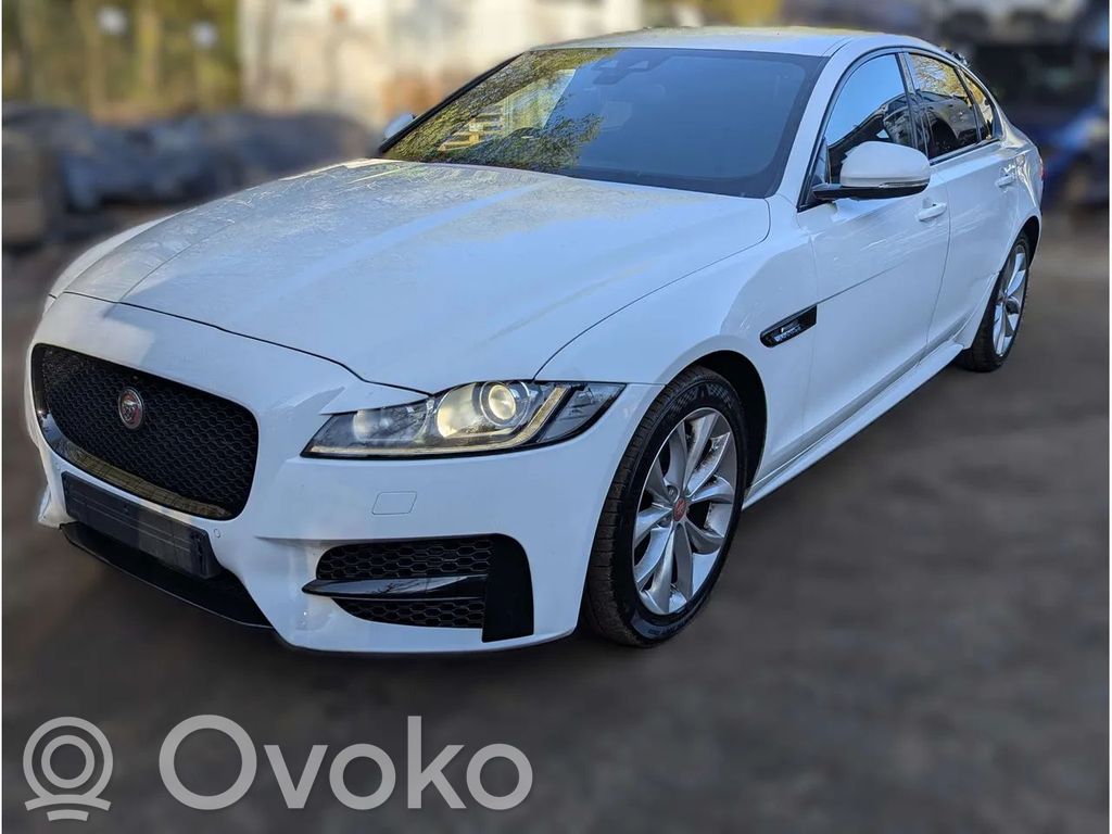 XF XF