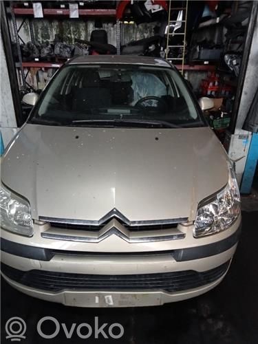 C4 I C4 Picasso, Grand Picasso, Aircross, Cactus  4541J1