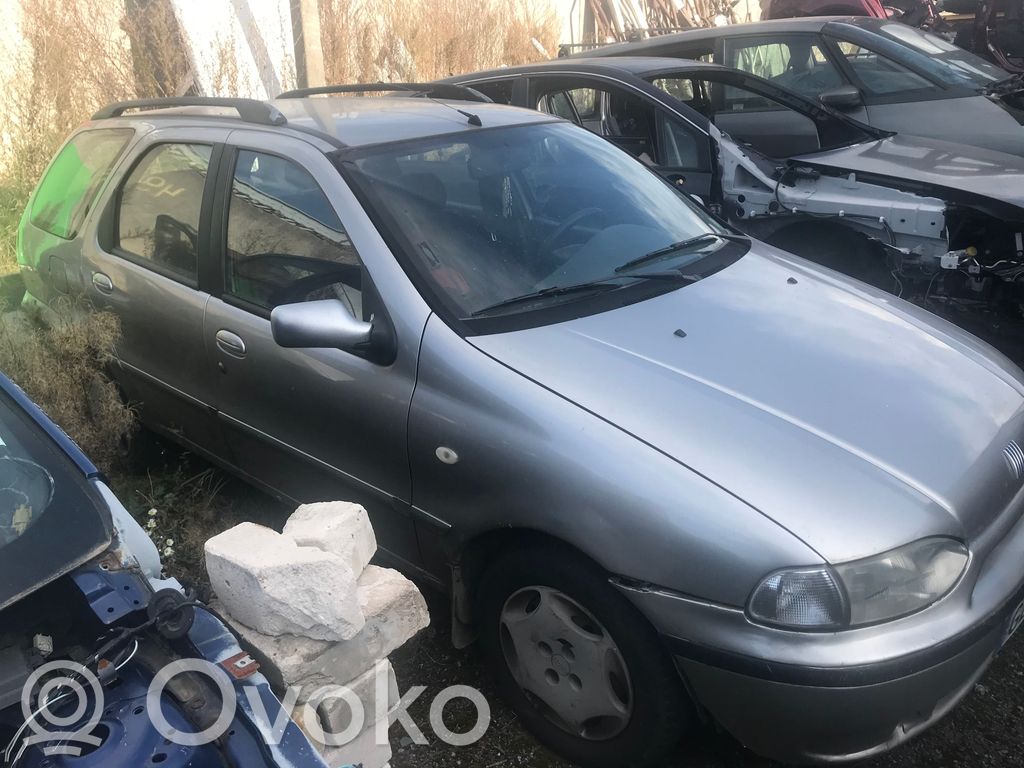 Palio Palio