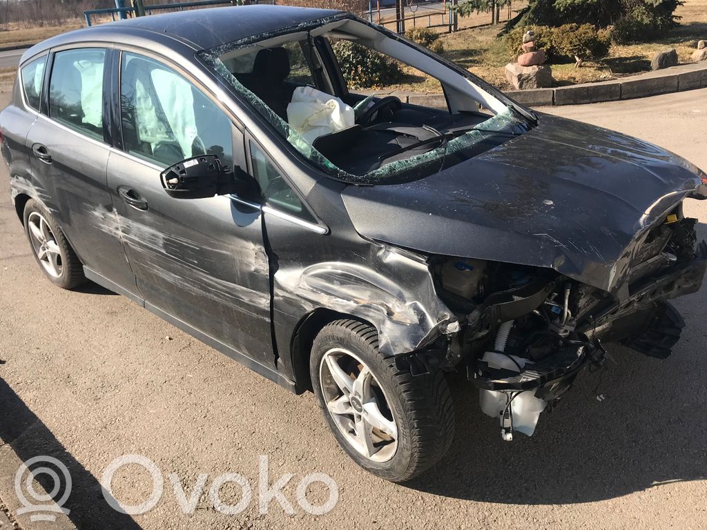 C-MAX II Focus C-MAX, C-MAX, Grand C-MAX  F1EB3600PG3ZHE