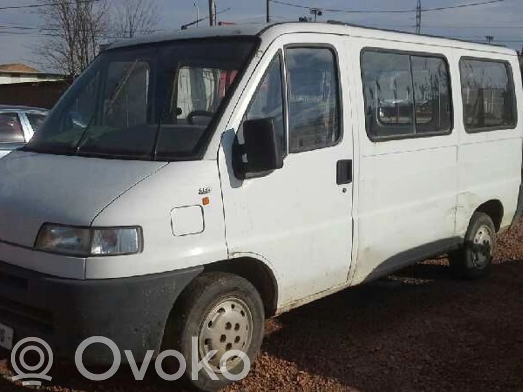 Ducato Ducato  SINREF