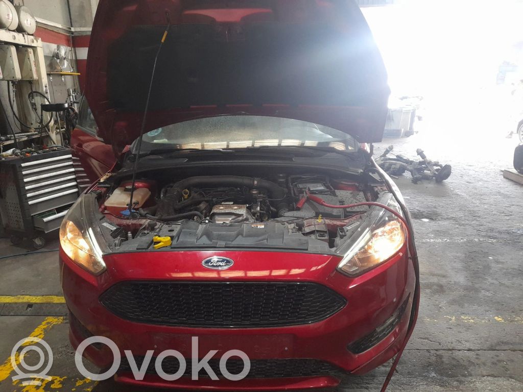 Focus Focus  3401620079