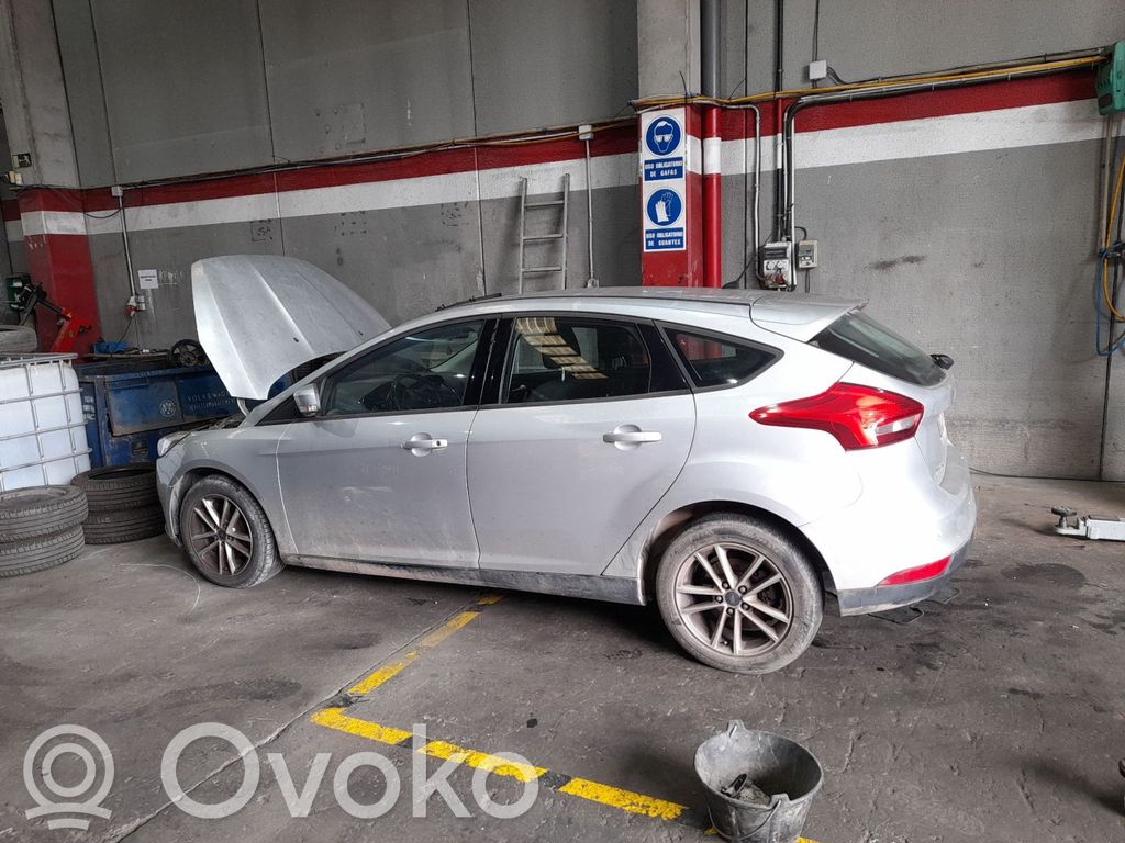 Focus Focus  CV619L440