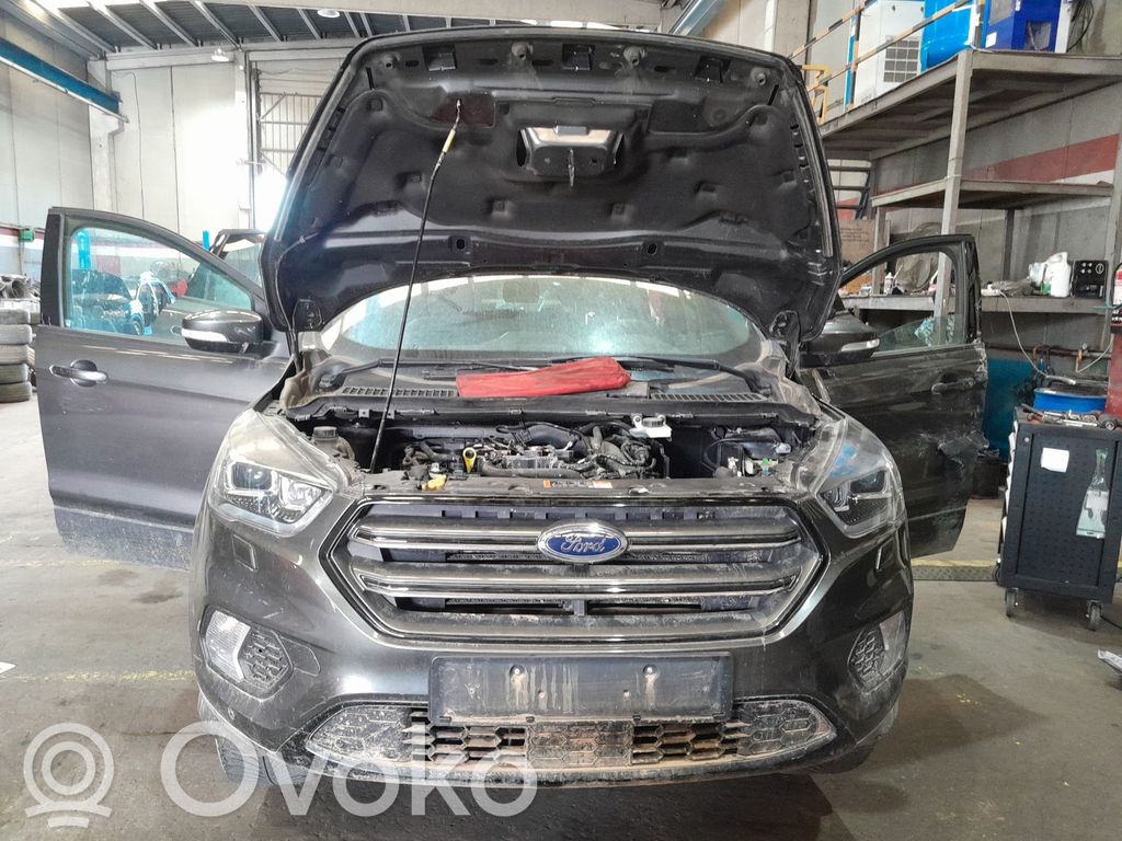 Kuga II Kuga  JV4A12A650UA